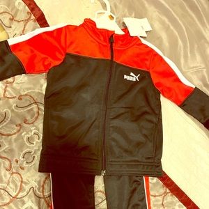Toddler puma jogging suit